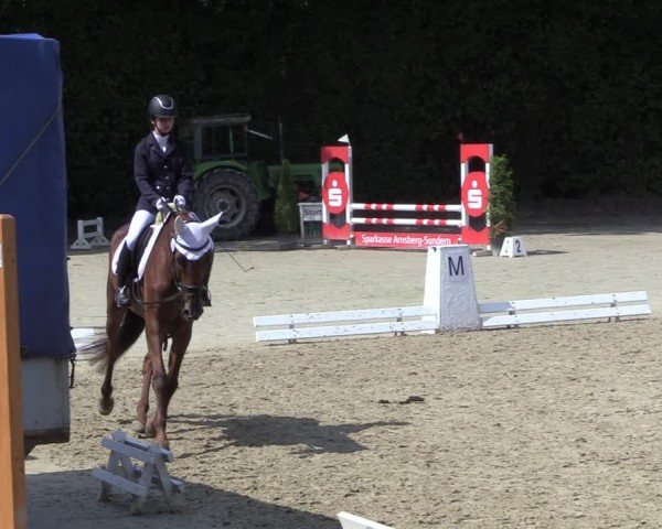 Reitturnier Arnsberg-Holzen 2024