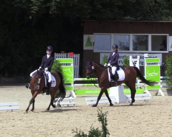 Reitturnier Arnsberg-Holzen 2024