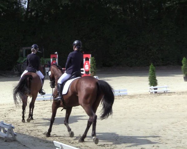 Reitturnier Arnsberg-Holzen 2024