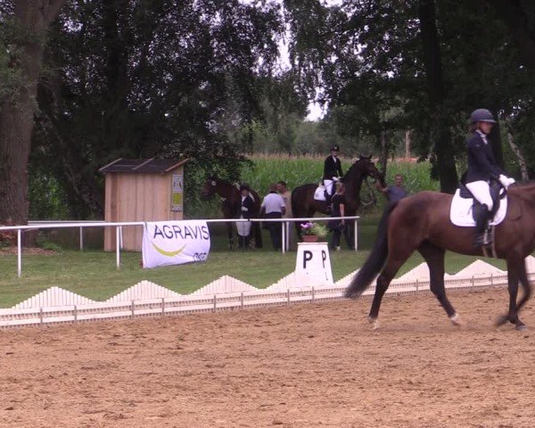 Reitturnier Zobbenitz 2024