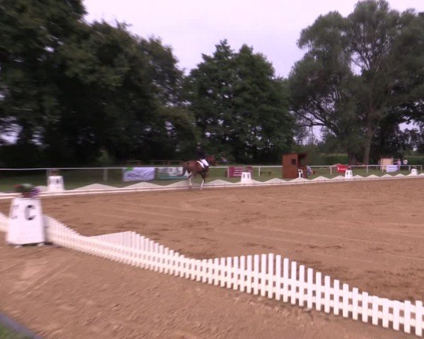 Reitturnier Zobbenitz 2024