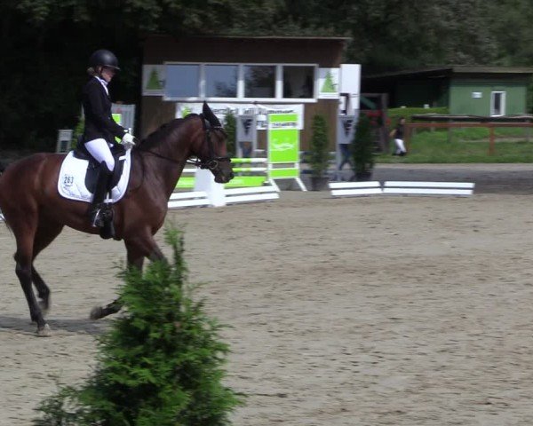 Reitturnier Arnsberg-Holzen 2024