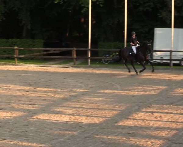 Reitturnier Klein Roscharden 2024