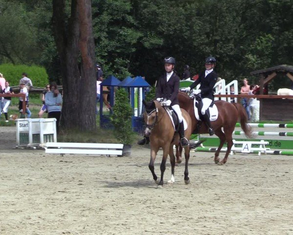 Reitturnier Arnsberg-Holzen 2024