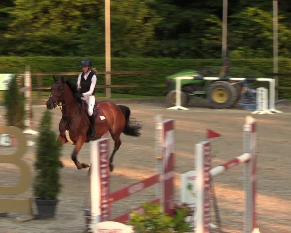 Reitturnier Klein Roscharden 2024