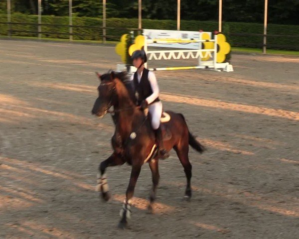 Reitturnier Klein Roscharden 2024