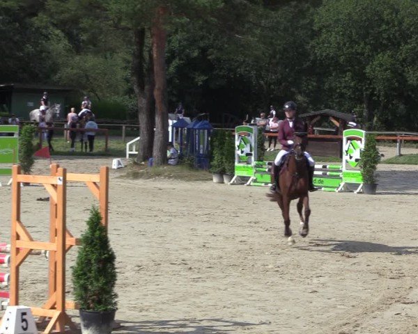 Reitturnier Arnsberg-Holzen 2024