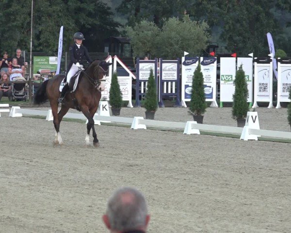 Reitturnier Nettetal-Lobberich 2024