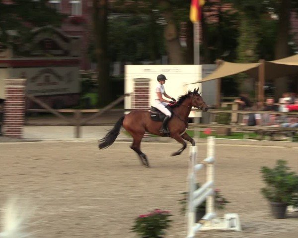 Reitturnier Klein Roscharden 2024