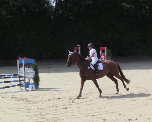 Reitturnier Arnsberg-Holzen 2024