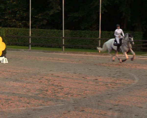 Reitturnier Klein Roscharden 2024