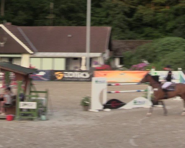 Reitturnier Klein Roscharden 2024
