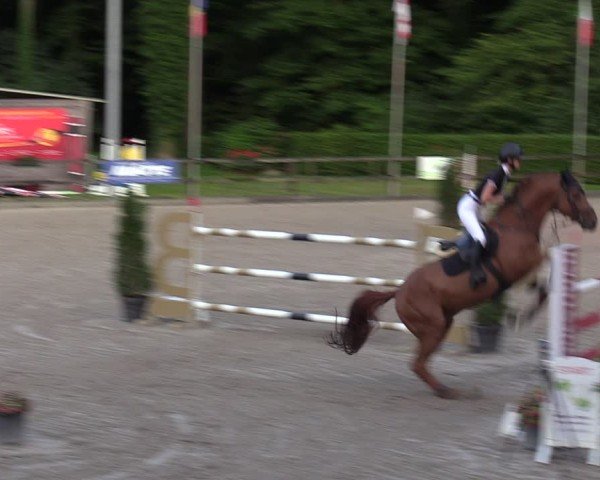 Reitturnier Klein Roscharden 2024
