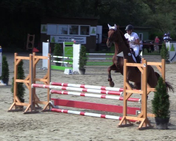Reitturnier Arnsberg-Holzen 2024