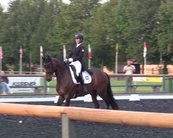 Reitturnier Röhrsdorf/ Chemnitz 2024