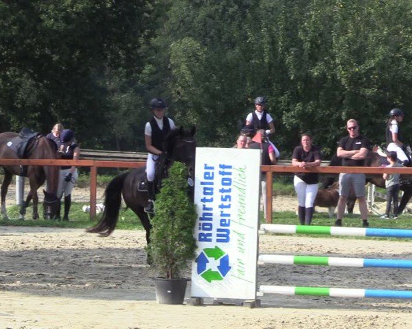 Reitturnier Arnsberg-Holzen 2024