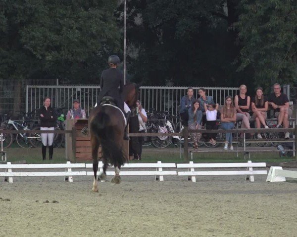 Reitturnier Nettetal-Lobberich 2024