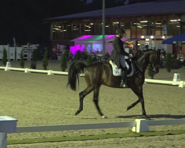 Reitturnier Nettetal-Lobberich 2024