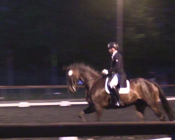 Reitturnier Röhrsdorf/ Chemnitz 2024