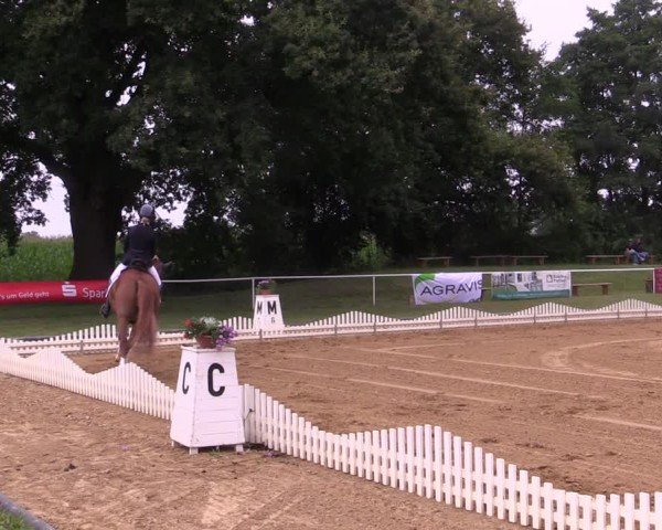 Reitturnier Zobbenitz 2024