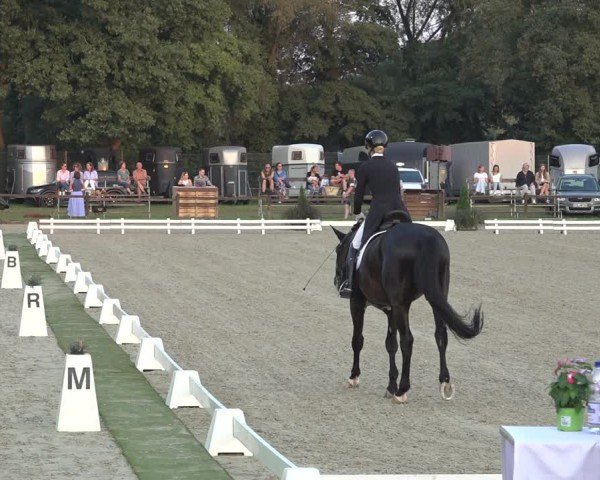 Reitturnier Nettetal-Lobberich 2024