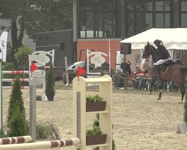 Reitturnier Nettetal-Lobberich 2024