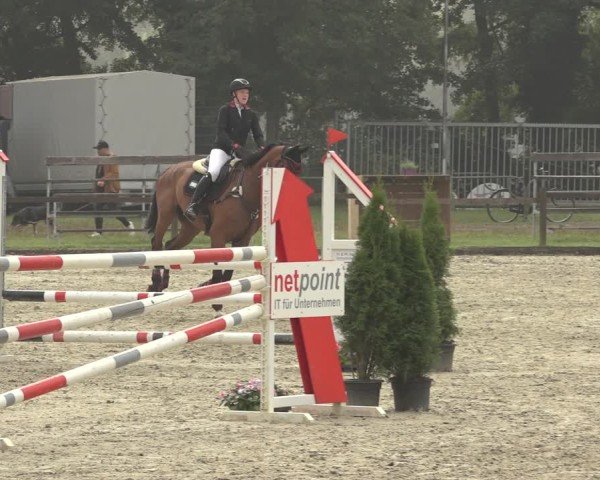 Reitturnier Nettetal-Lobberich 2024