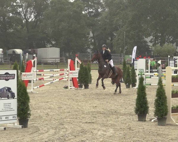 Reitturnier Nettetal-Lobberich 2024