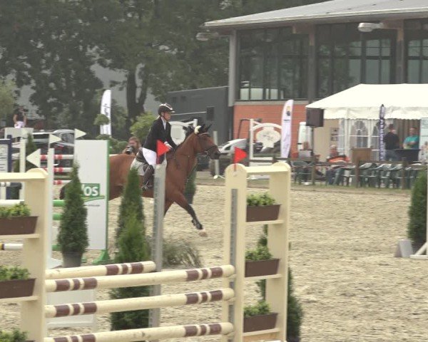 Reitturnier Nettetal-Lobberich 2024