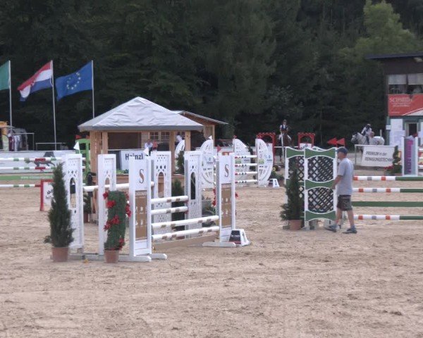 Reitturnier Ranshofen - Braunau am Inn 2024