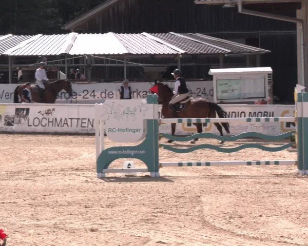 Reitturnier Ranshofen - Braunau am Inn 2024