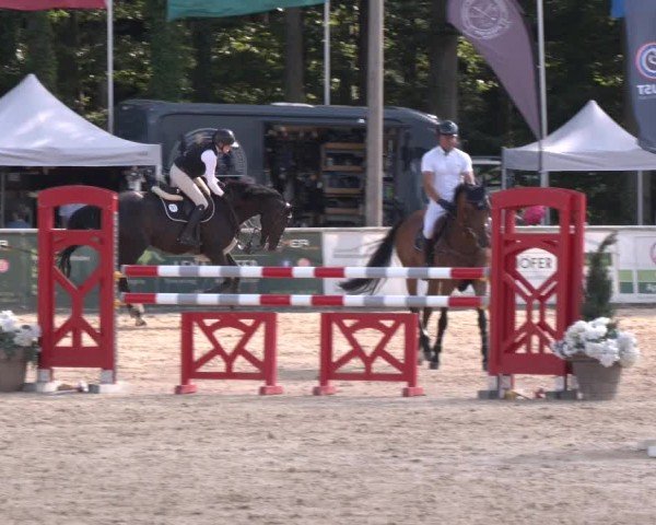 Reitturnier Ranshofen - Braunau am Inn 2024