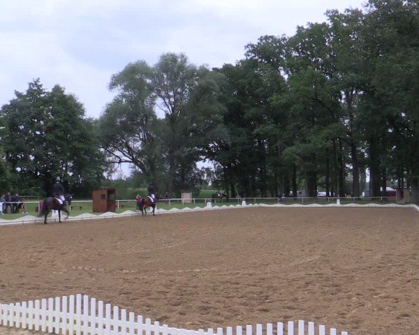 Reitturnier Zobbenitz 2024