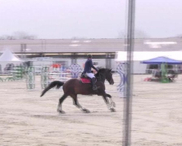 Dressur- und Springturnier Eröffnung der grünen Saison 2013