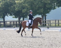 Dressurpferd FS Compagnon (Deutsches Reitpony, 2020, von FS Clarimo)