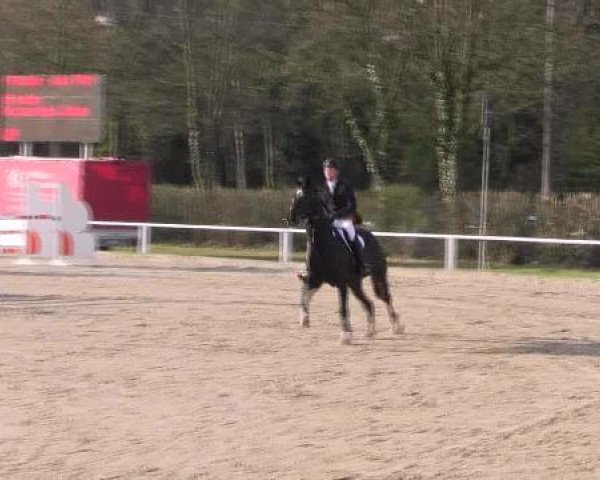 Dressur- und Springturnier Eröffnung der grünen Saison 2013