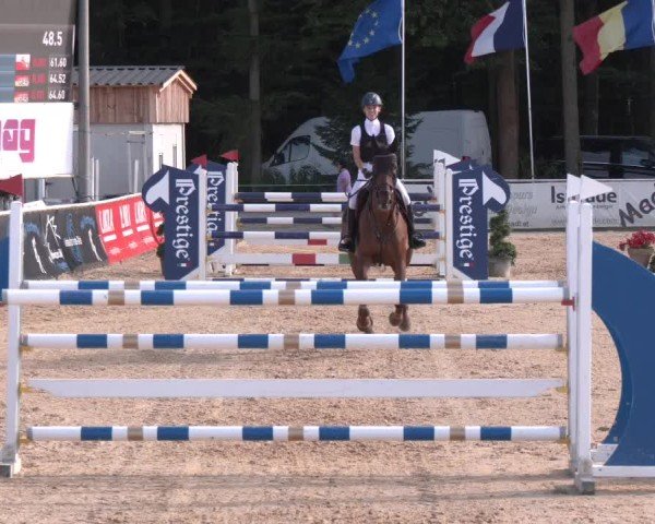 Reitturnier Ranshofen - Braunau am Inn 2024