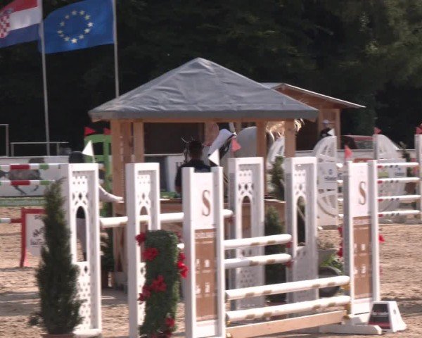 Reitturnier Ranshofen - Braunau am Inn 2024