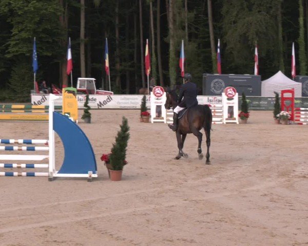 Reitturnier Ranshofen - Braunau am Inn 2024