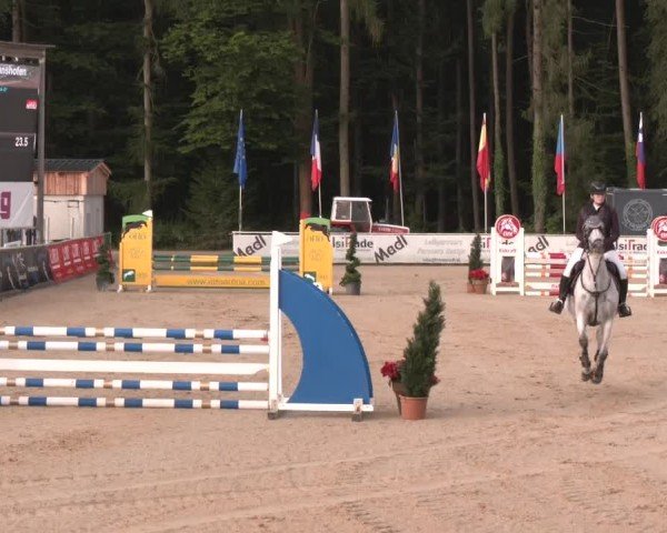 Reitturnier Ranshofen - Braunau am Inn 2024