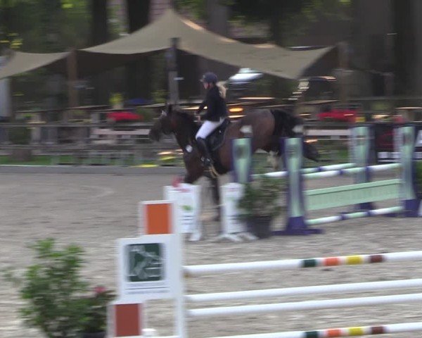Reitturnier Klein Roscharden 2024
