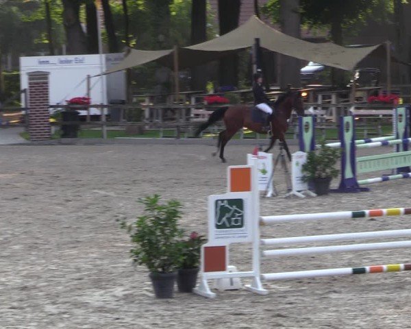 Reitturnier Klein Roscharden 2024