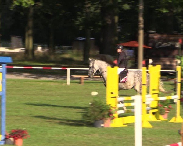 Reitturnier Zobbenitz 2024