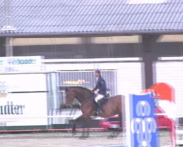 Dressur- und Springturnier Eröffnung der grünen Saison 2013