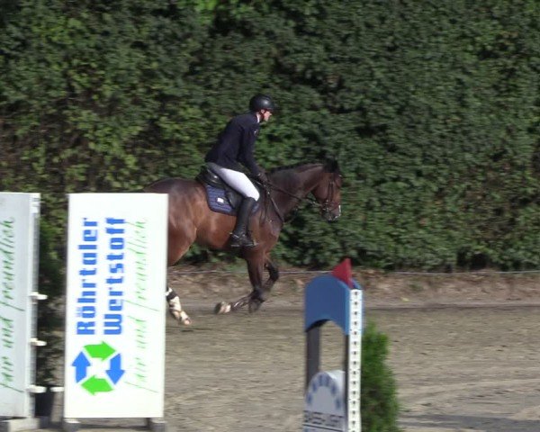 Reitturnier Arnsberg-Holzen 2024