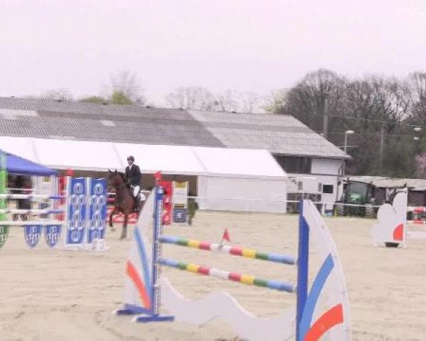Dressur- und Springturnier Eröffnung der grünen Saison 2013