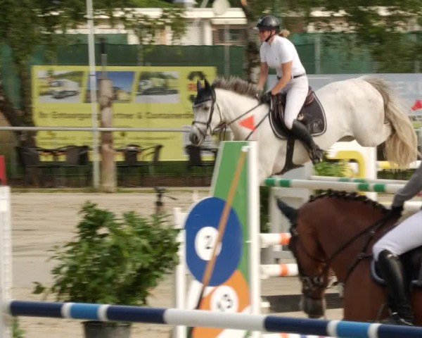 Reitturnier Mannheim-Friedrichsfeld 2024