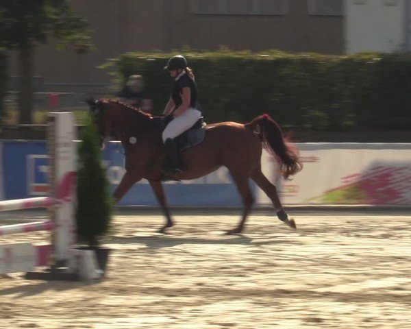 Reitturnier Ennigerloh-Neubeckum 2024