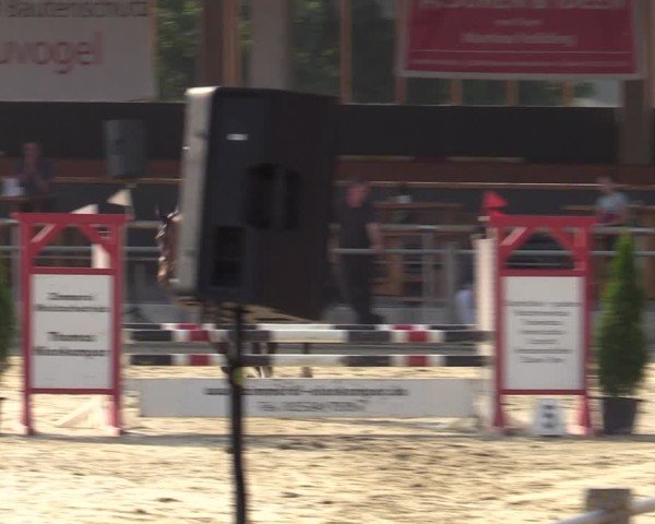 Reitturnier Ennigerloh-Neubeckum 2024
