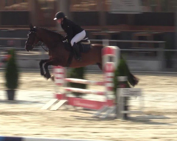 Reitturnier Ennigerloh-Neubeckum 2024